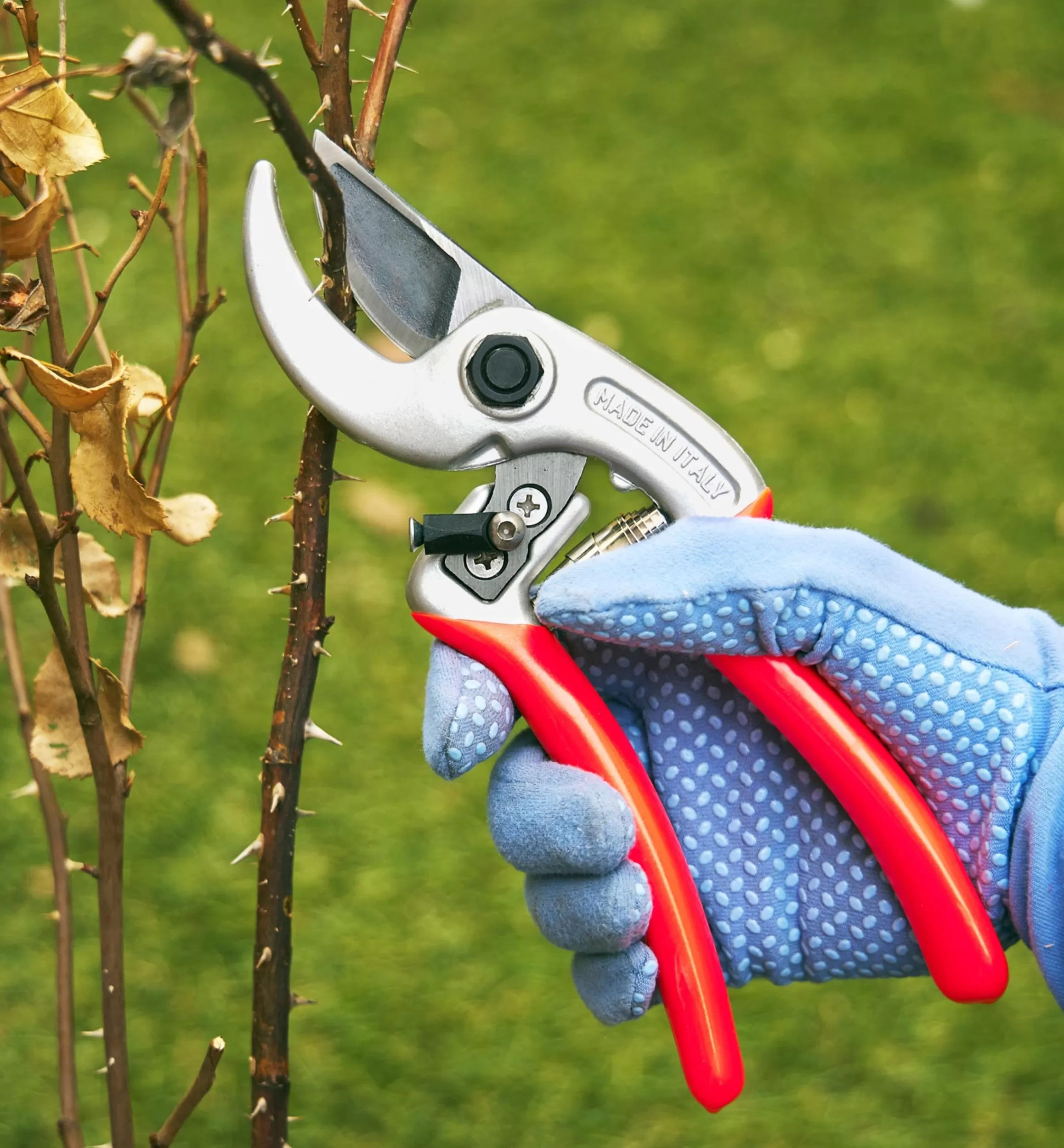 Lee Valley Castellari Curved-Anvil Pruner