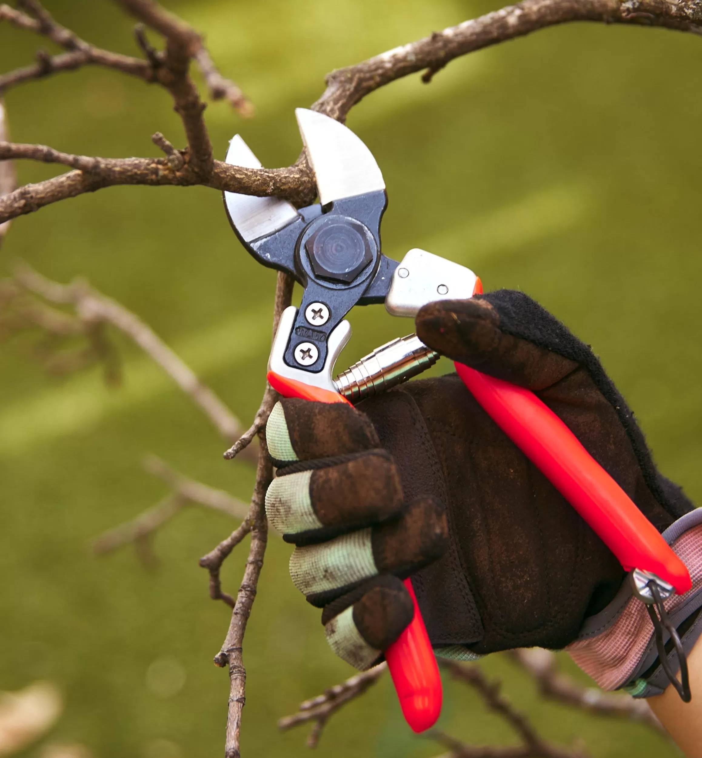 Lee Valley Castellari Double-Bladed Pruner