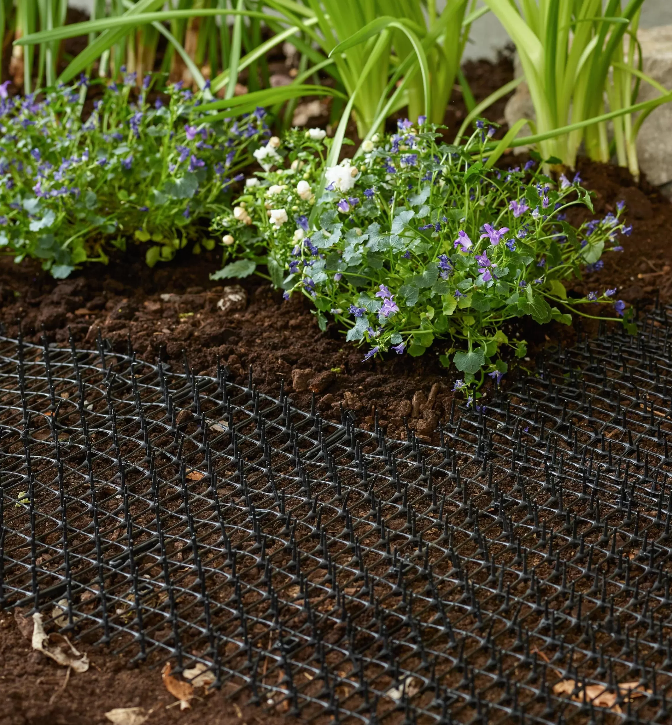 Lee Valley CatScat Mat