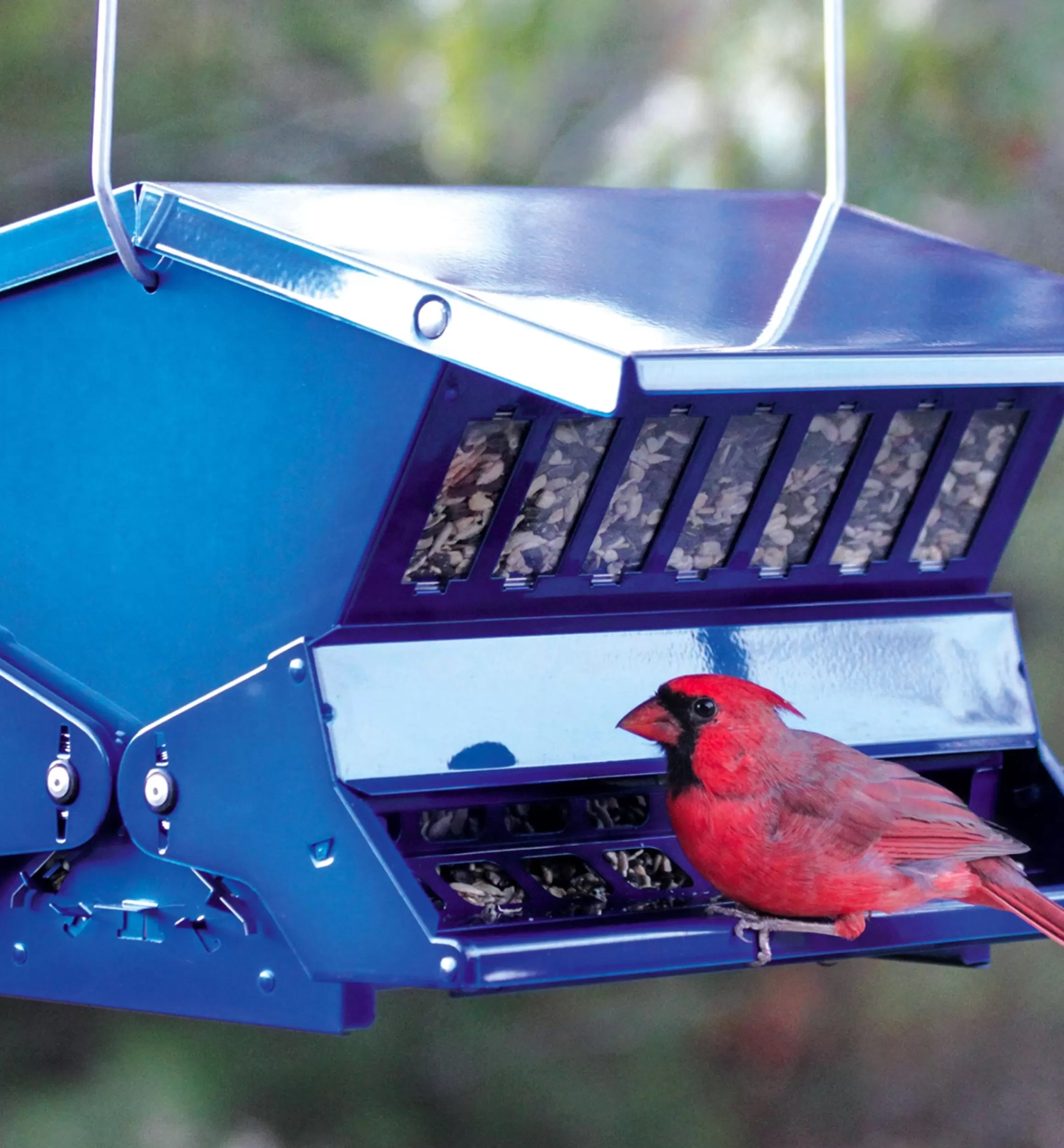 Lee Valley Double-Sided Large Squirrel-Resistant Feeder