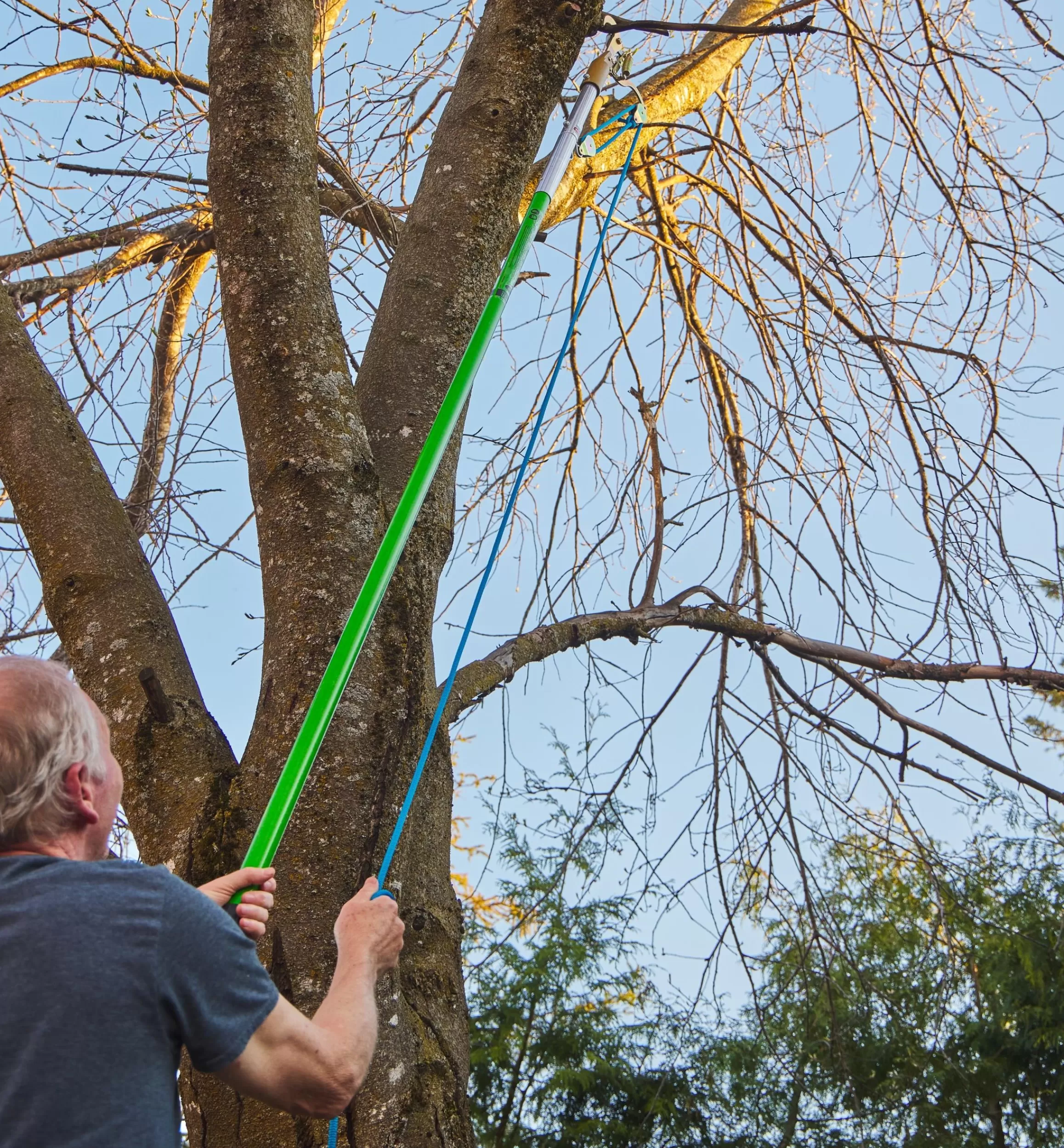 Lee Valley Jameson Professional Tree-Pruning Kit