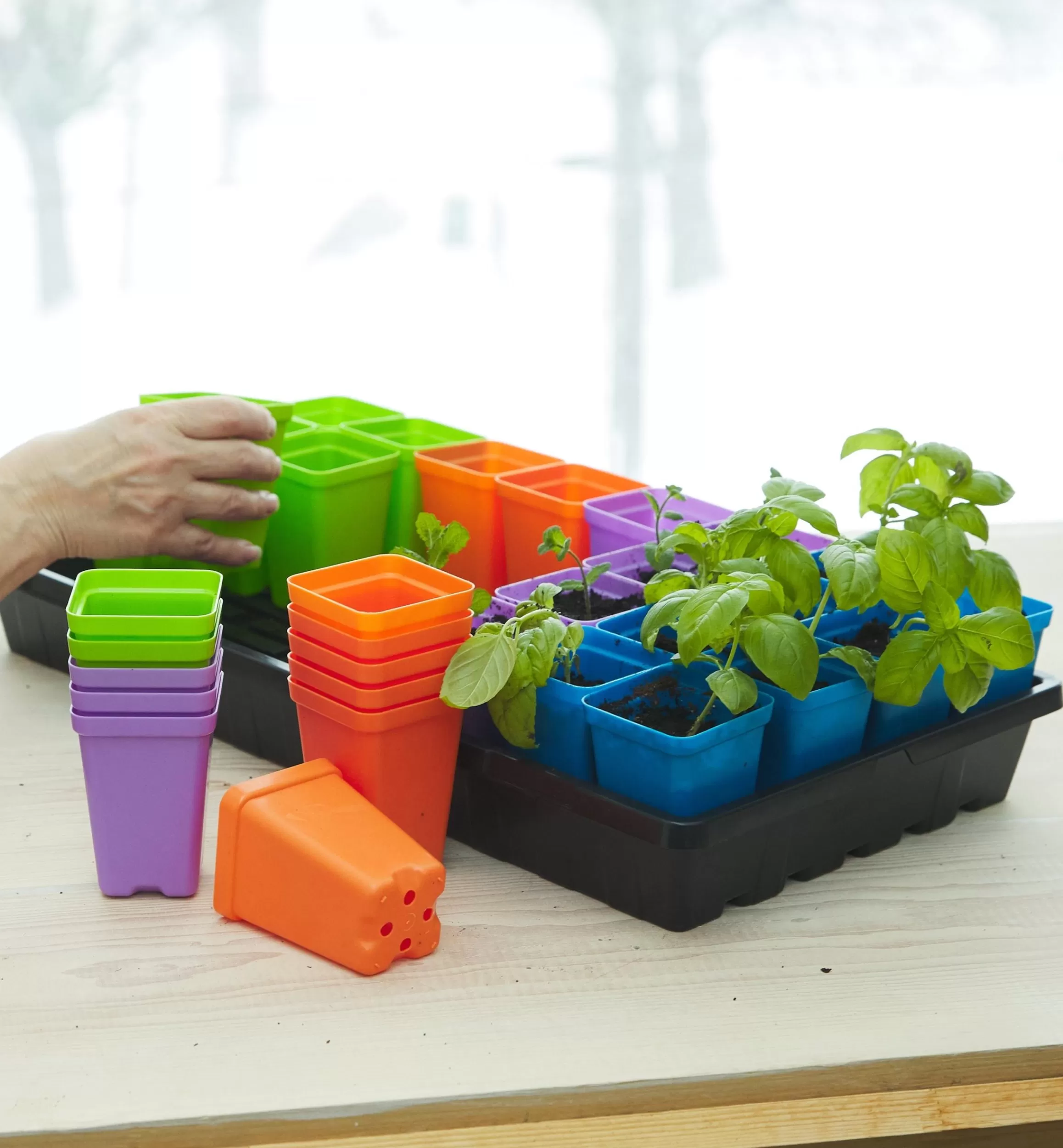 Lee Valley 32-Pack Of 2 1/2" Multicolor Pots With Propagation Tray