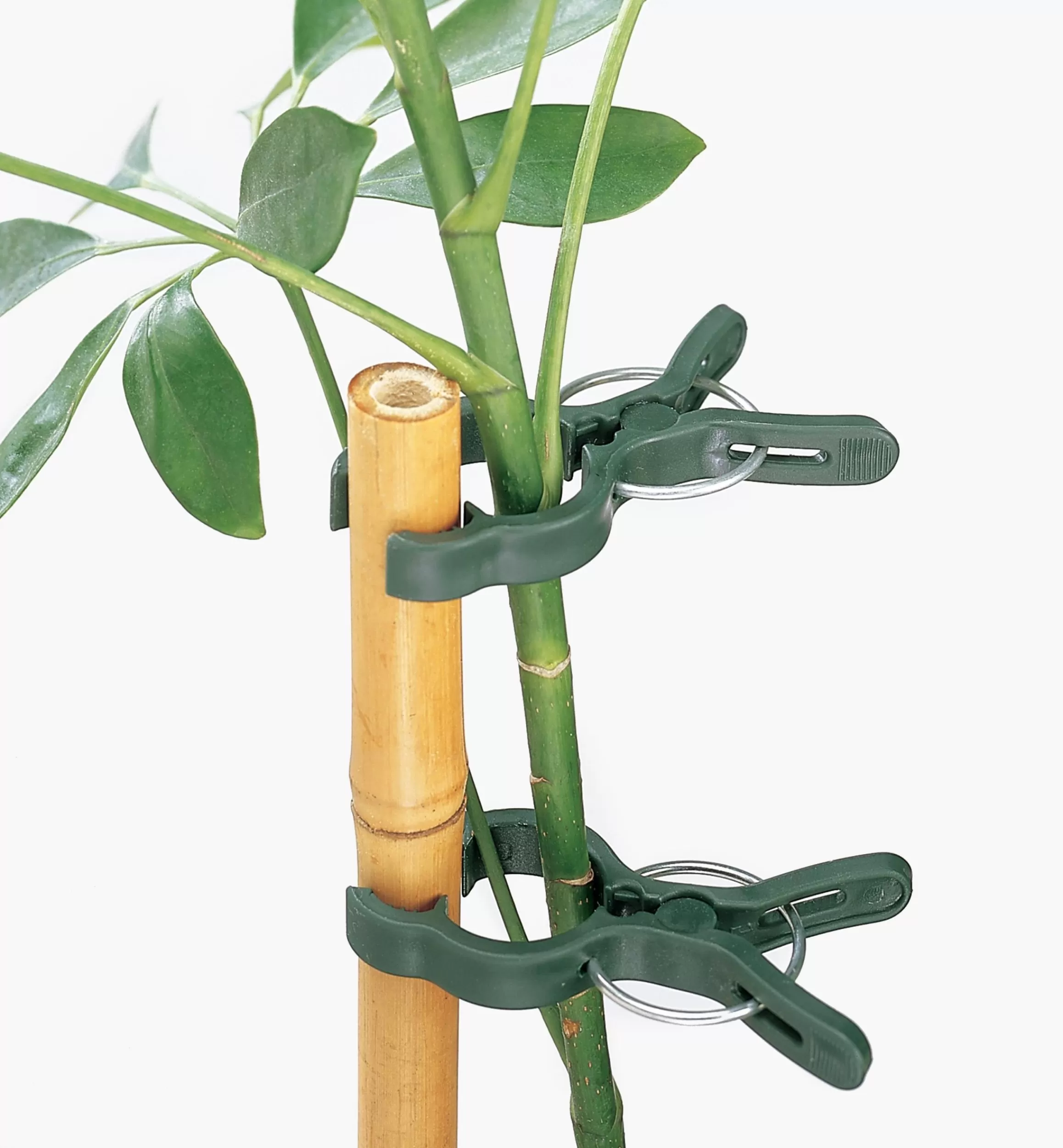 Lee Valley Plant Clips