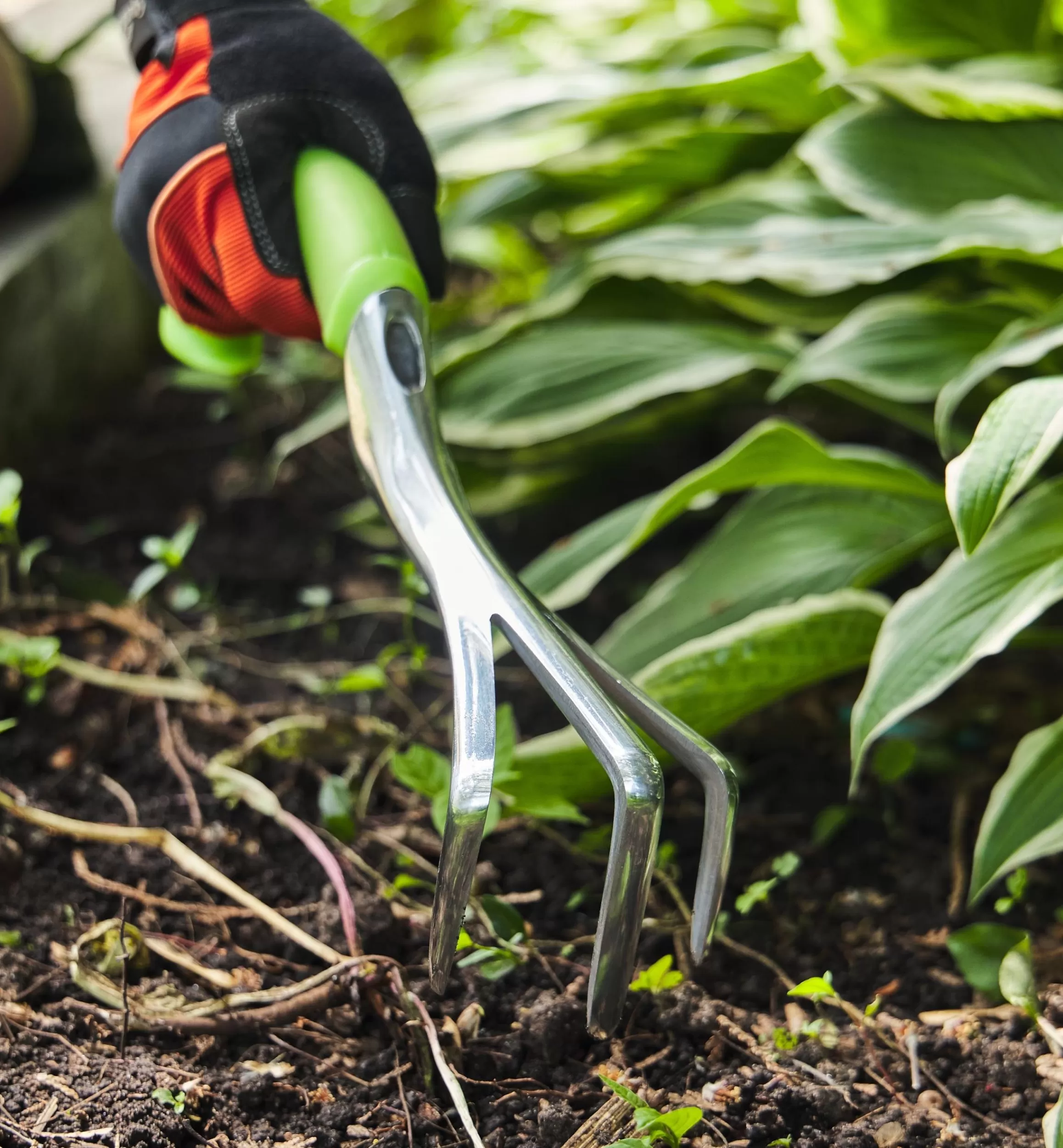 Lee Valley Radius Ergonomic Hand Cultivator