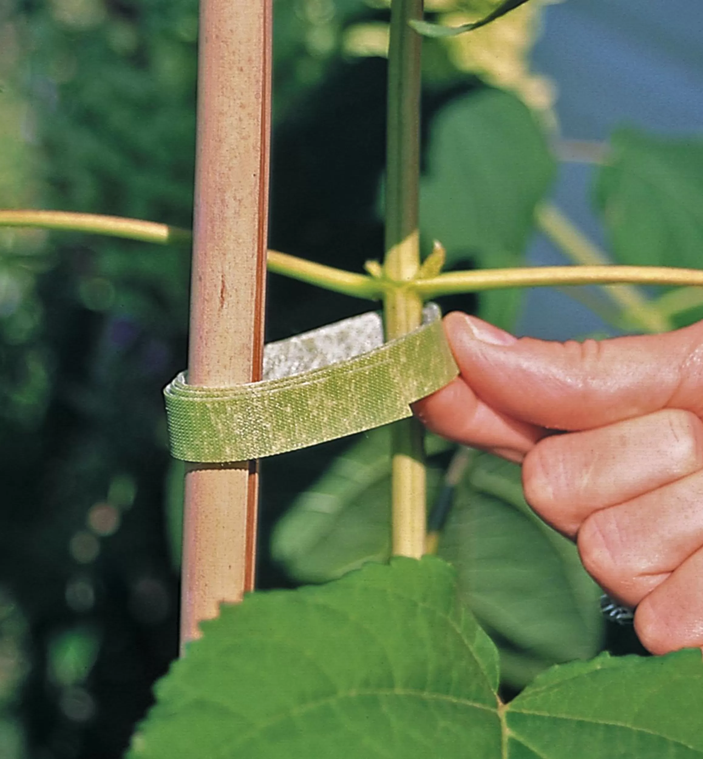 Lee Valley VELCRO® Plant Tie